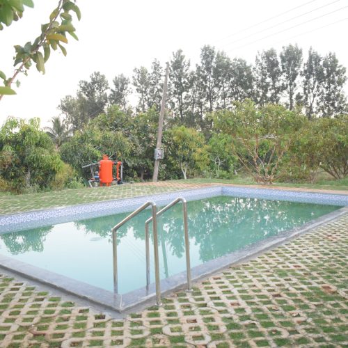 Narayani Agro Tourisam Nashik Pool